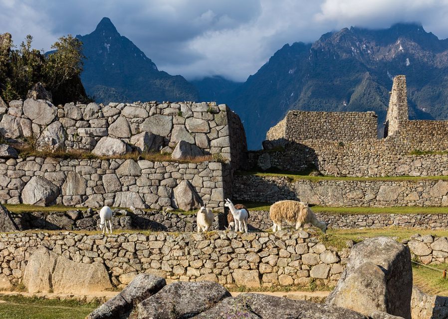 Private Tour ||Cusco, Sacred Valley, Rainbow Mountain 6 Day| - Inclusions