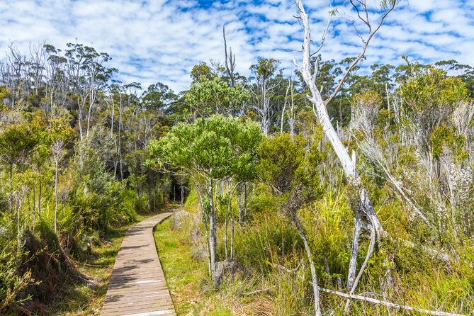 Private Tour of Tahune Airwalk and Hastings Caves From Hobart - Tour Operator Information