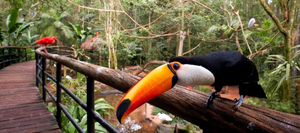 Puerto Iguazu: Iguaza Falls Brazilian Side & Bird Park Tour - Important Information