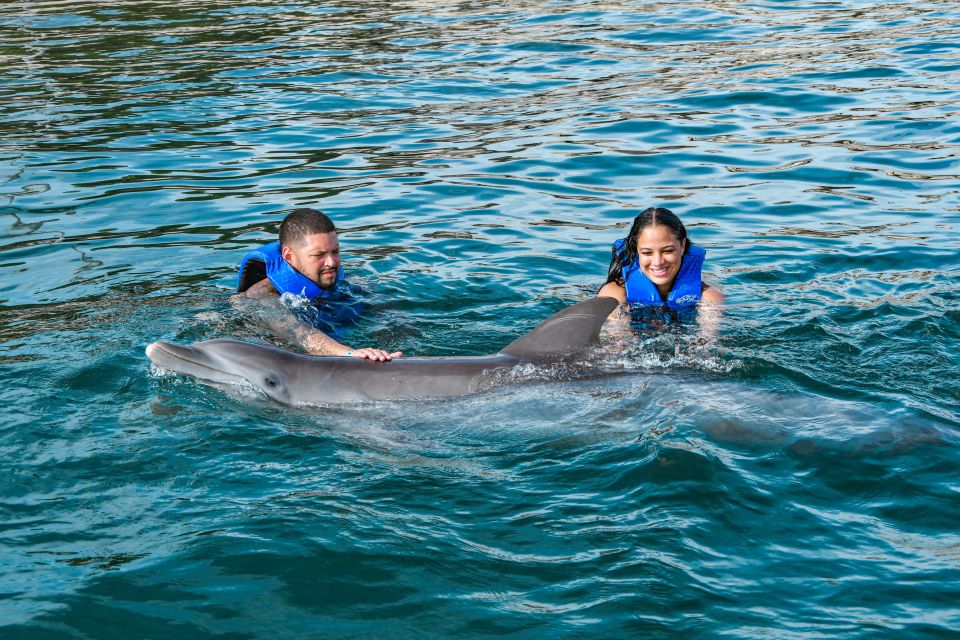 Puerto Plata: Ocean World Adventure Park Swim With Dolphins - Sum Up