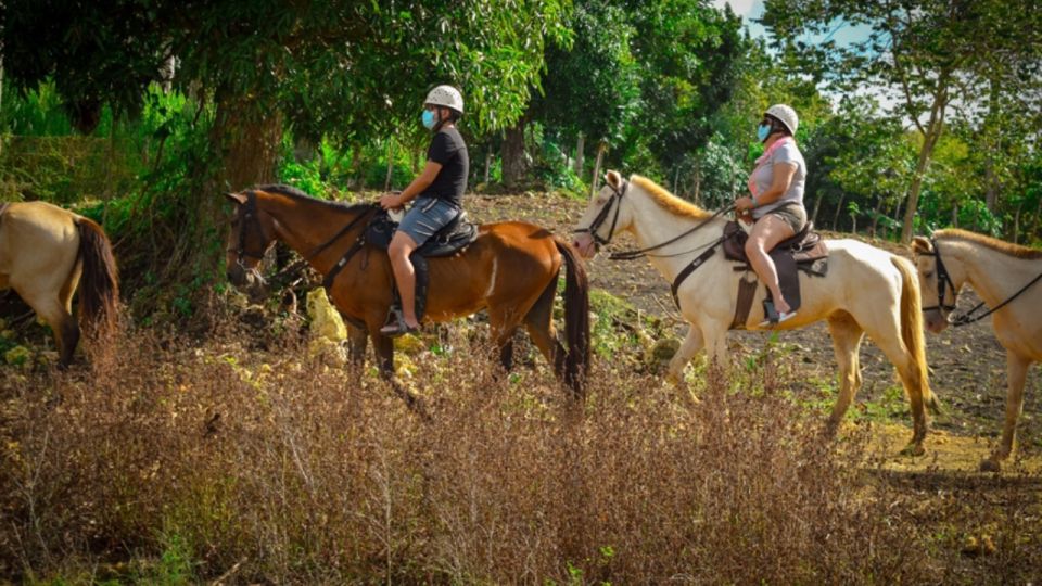 Punta Cana: 3 Tour Zip Line, Buggy and Horse Ride. - Common questions