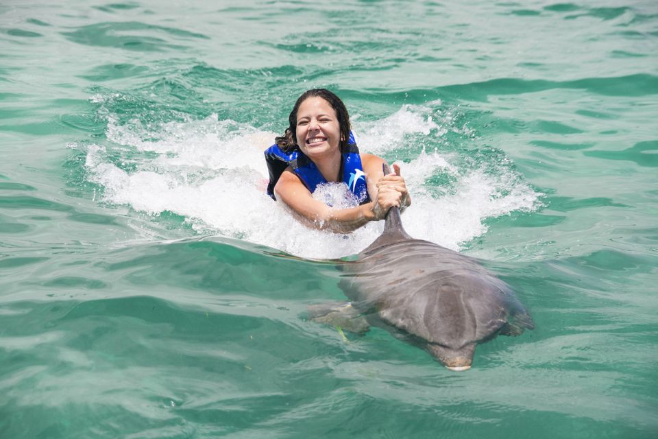 Punta Cana: Dolphin Explorer Swims and Interactions - What to Bring