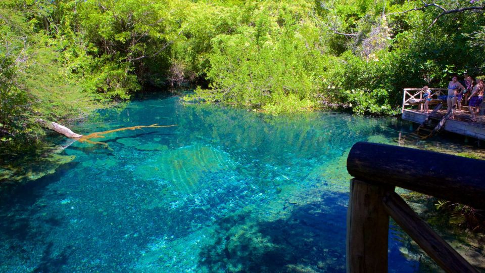 Punta Cana: Swim With Horses Guided Horseback Tour - Inclusions Provided