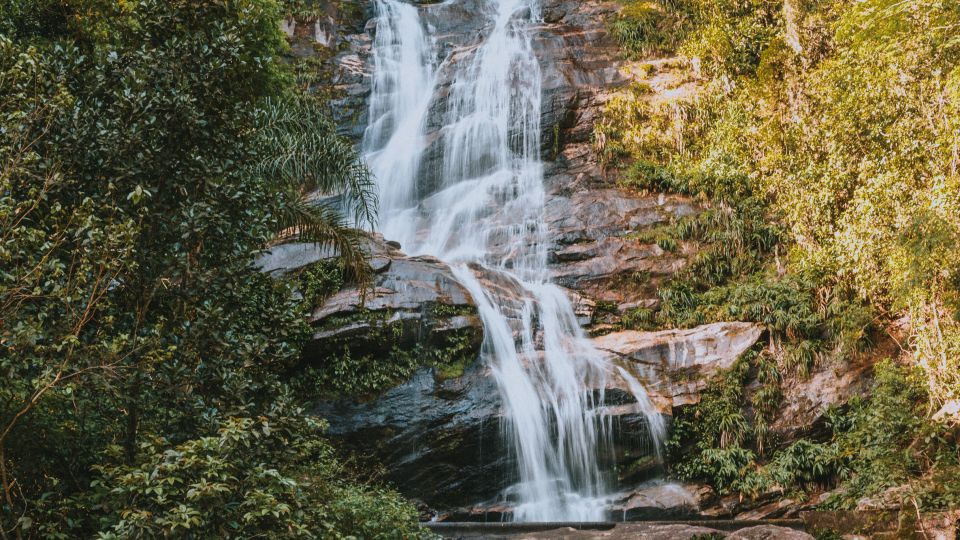 Rio De Janeiro: 4-Hour Botanical Garden & Tijuca Forest Tour - Review Ratings and Customer Feedback