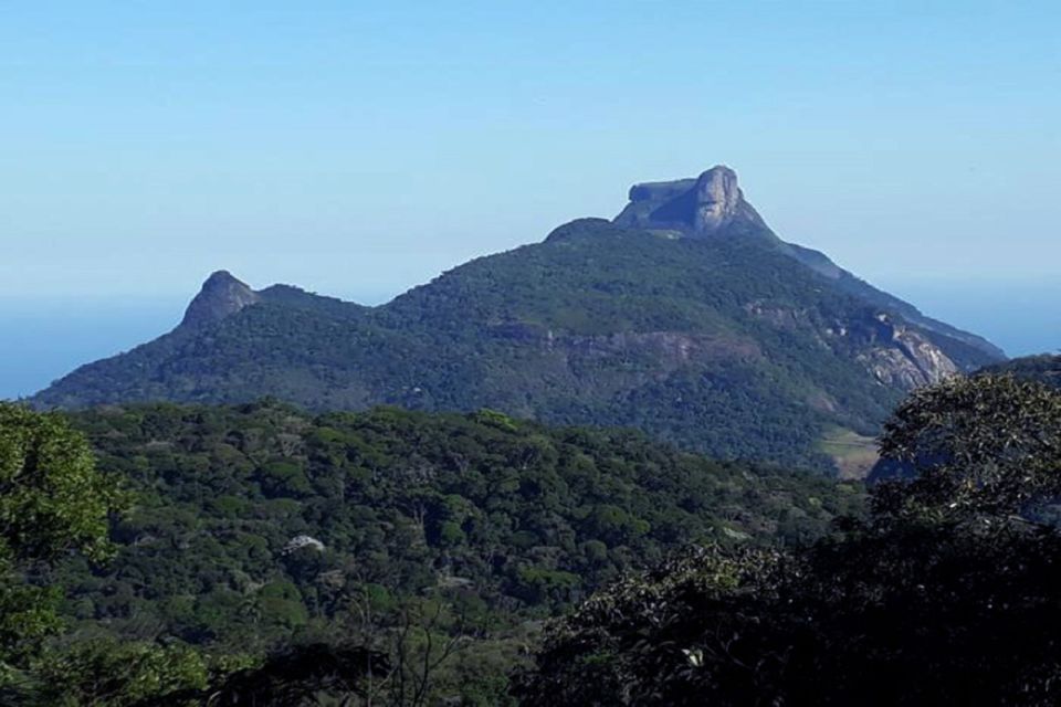 Rio De Janeiro: Tijuca National Park Ecotour - Additional Information