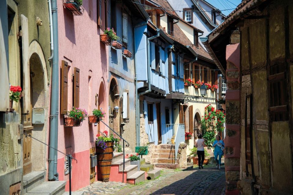 Riquewihr Private Walking Tour - Group Type