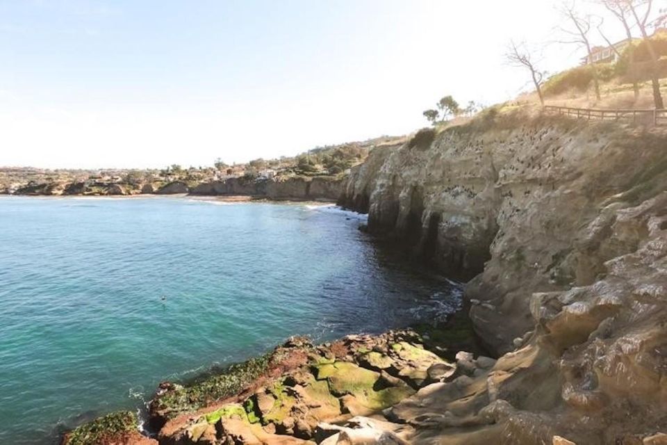 San Diego: La Jolla Cove Guided Snorkeling Tour - Duration
