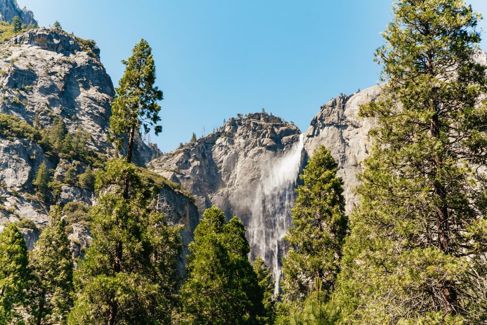 San Francisco: Yosemite National Park & Giant Sequoias Hike - Review Summary