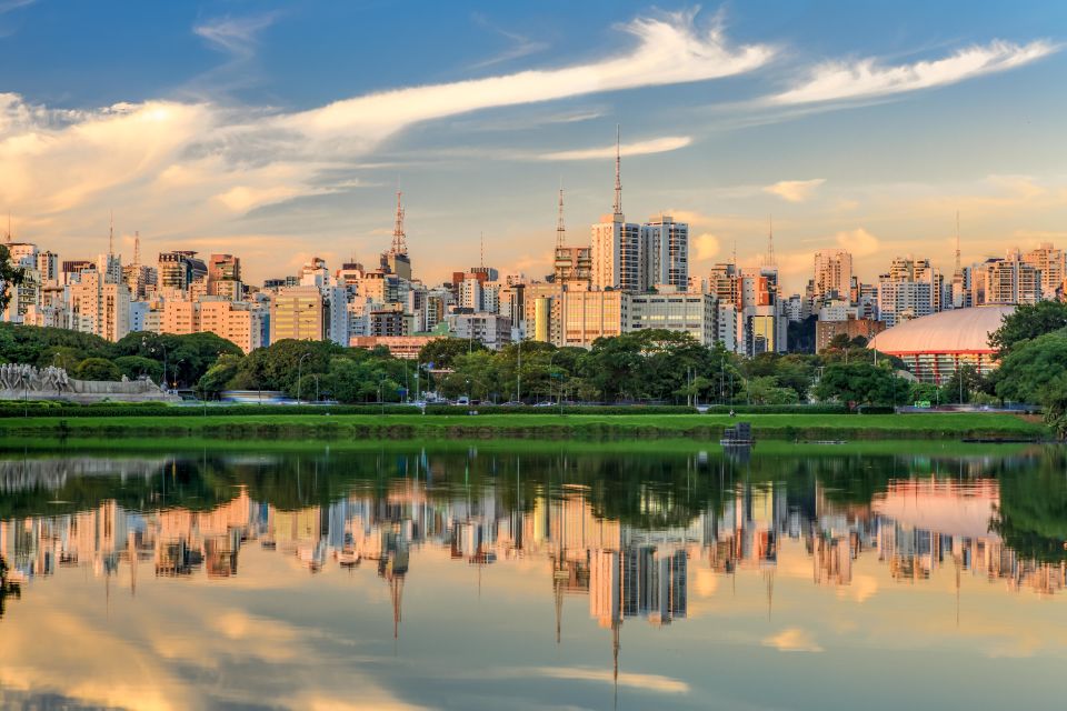 São Paulo City: 5-Hour Private Tour - Visitor Reviews