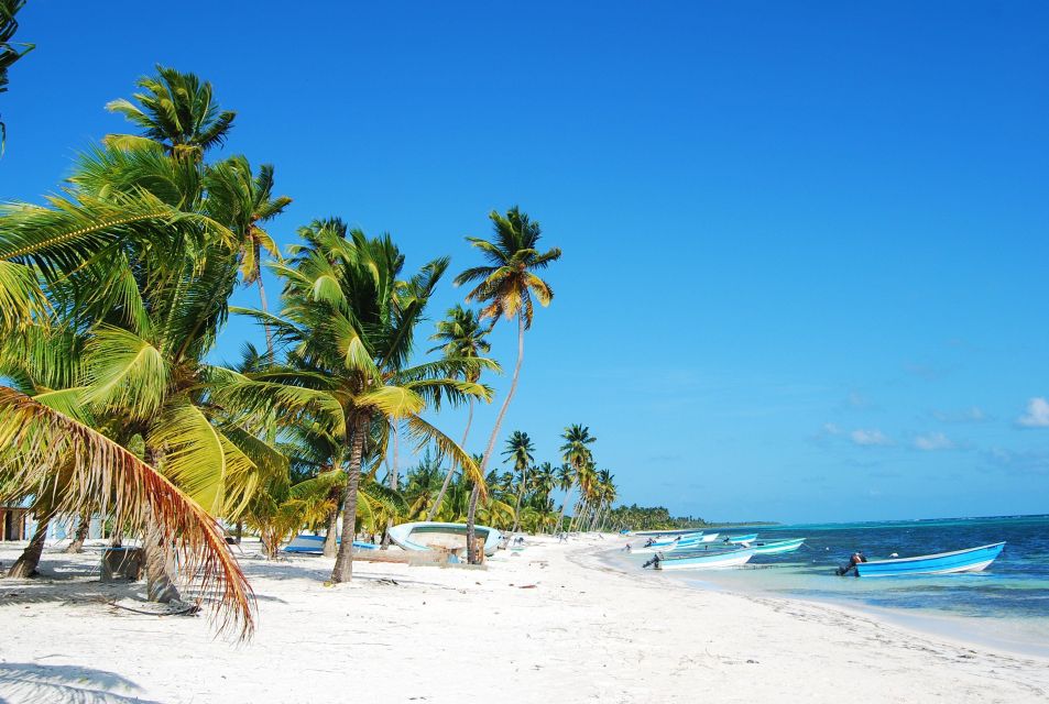 Saona Island: Beach & Pool Cruise With Lunch From Punta Cana - Accessibility and Experience Highlights