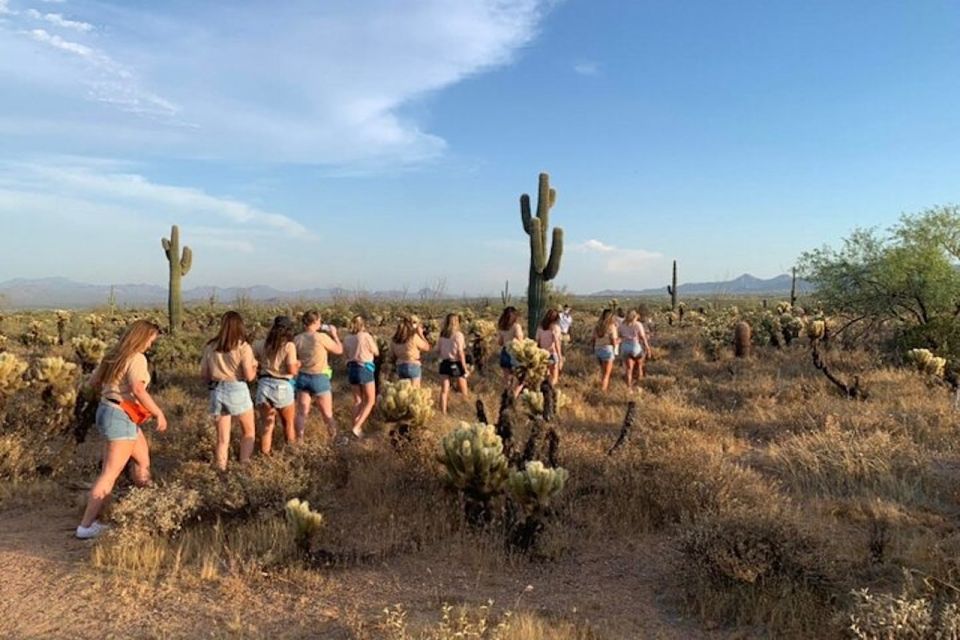 Scottsdale: McDowell Sonoran Preserve Hiking Tour - Important Information