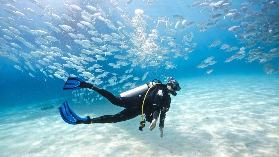 Scuba Diving Tour in Puerto Plata Hotel/Shore - Inclusions and Booking Information