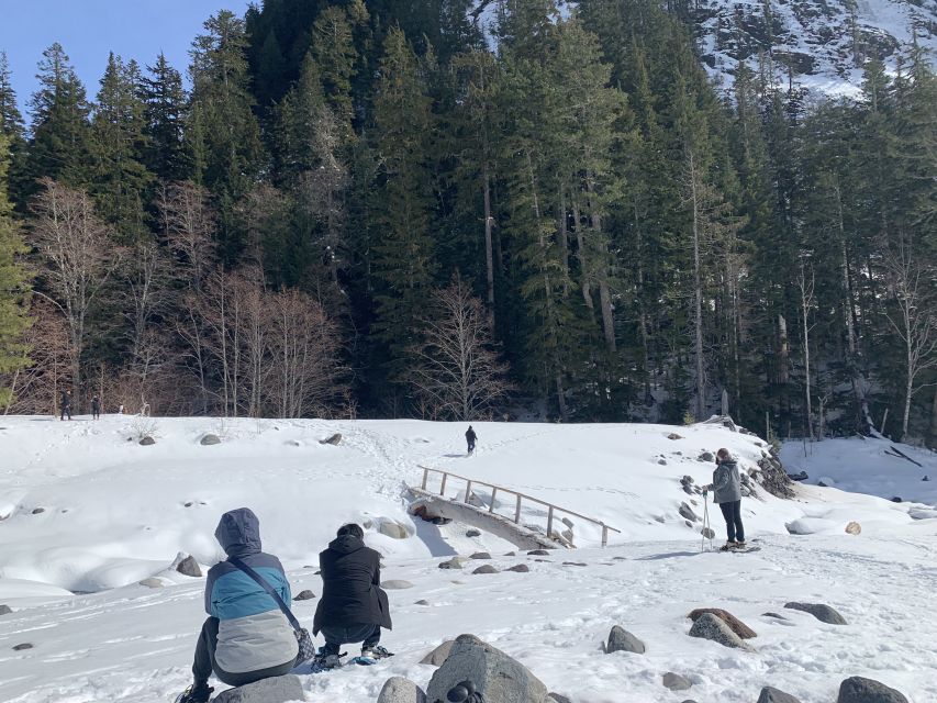 Seattle: Mt. Rainier Hiking W/ Waterfalls, Glaciers & Trees - Forest Waterfall Exploration