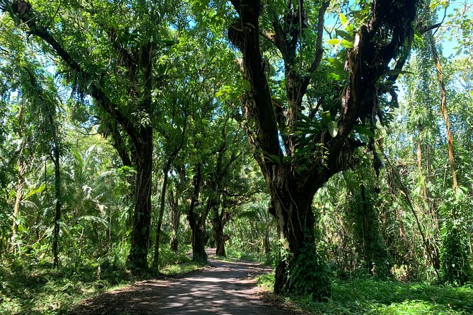 Short Private Hike To Secret Jungle Tide Pool - Customer Feedback