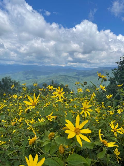 SMOKY MOUNTAIN CHEROKEE RESERVATION UTV Wilderness Adventure - Restrictions