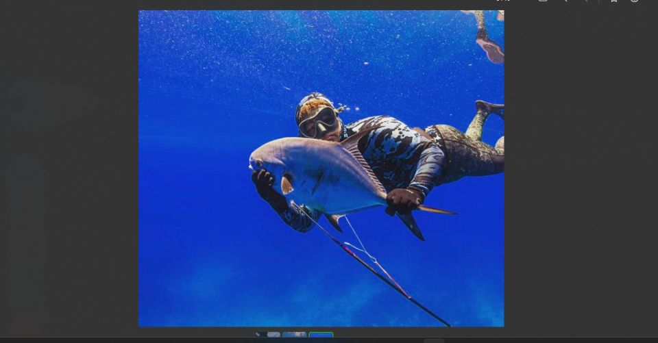 Spear-Fishing Bahamas - Inclusions