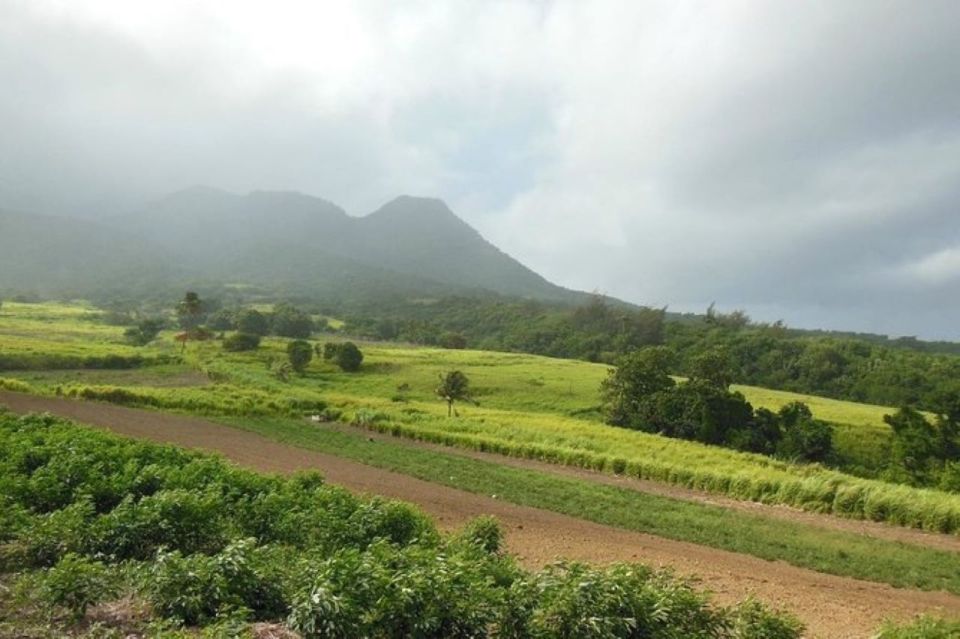 St Kitts: Jungle Bikes Off-Road ATV Tour - Sum Up