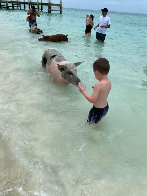 Swimming Pigs Safari 2hrs - Inclusions and Exclusions