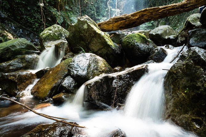 Tai Mo Shan Waterfall Adventure Hike - Hiking Routes