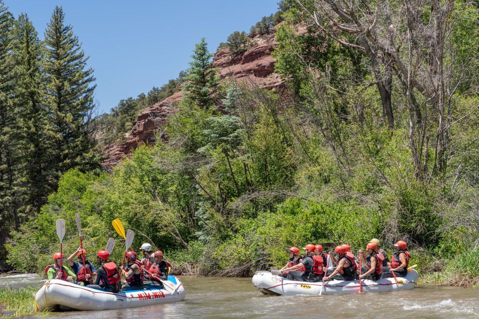 Telluride Whitewater Rafting - Afternoon Half Day - Rafting Description