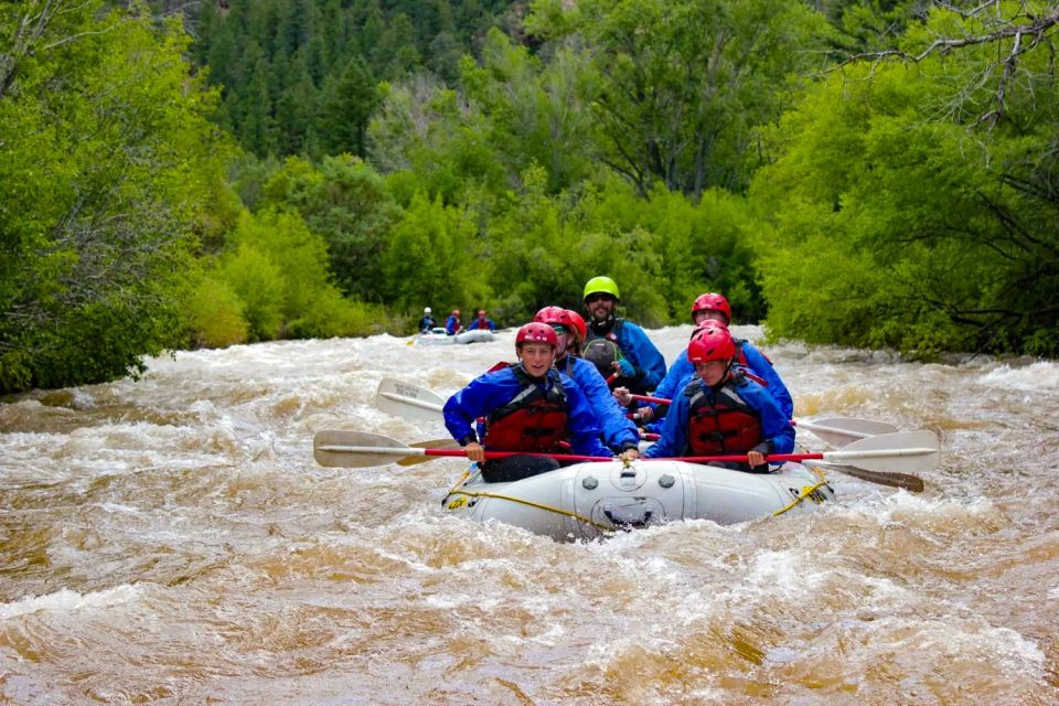 Telluride Whitewater Rafting - Morning Half Day - Experience Inclusions