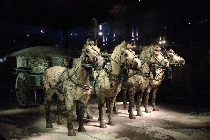 Terra-Cotta Warriors & Horses Essential Full Day Tour From Xian - Additional Information