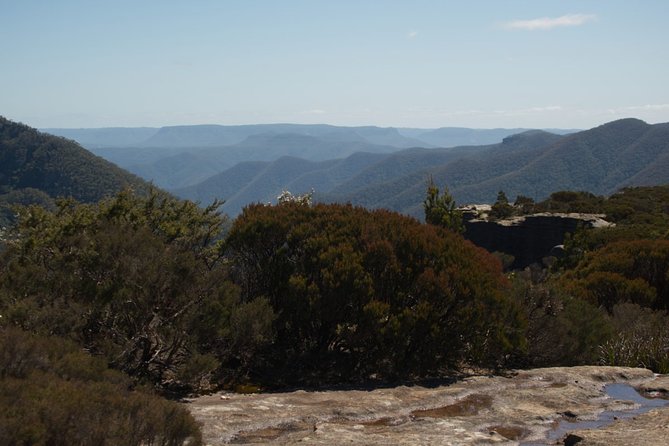 The Explorers Discovery Tour - Gold, Wine & Wildlife - Wildlife Encounter