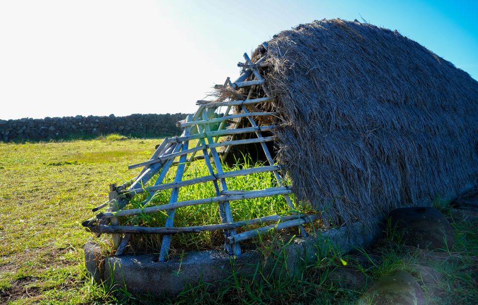 The Moai Factory: the Mystery Behind the Volcanic Stone Stat - Enigmatic Ahu Ahahanga Location