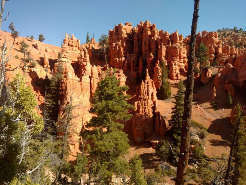 Thunder Mountain Trail: Scenic Horseback Ride - Customer Reviews