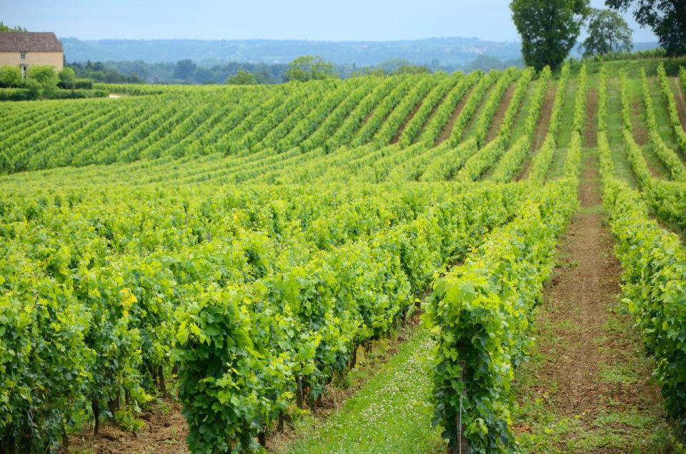 UNESCO Heritage and Wine Delights Private Tour From Bordeaux - Highlights and Itinerary
