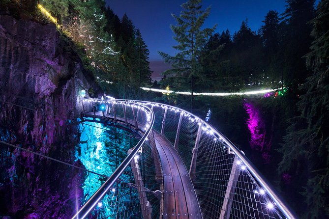 Vancouver City and Capilano Suspension Bridge Canyon Lights Tour - Visit Granville Island