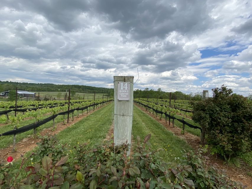 Virginia Wineries Tours: Experience Virginia Wineries - Customer Feedback