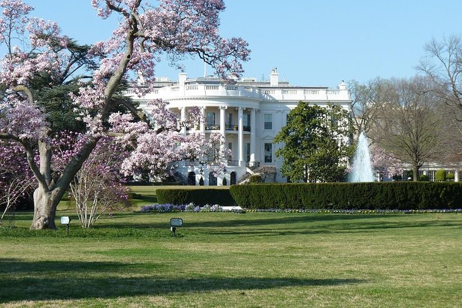 Washington Monument and DC Highlights Tour - Additional Resources