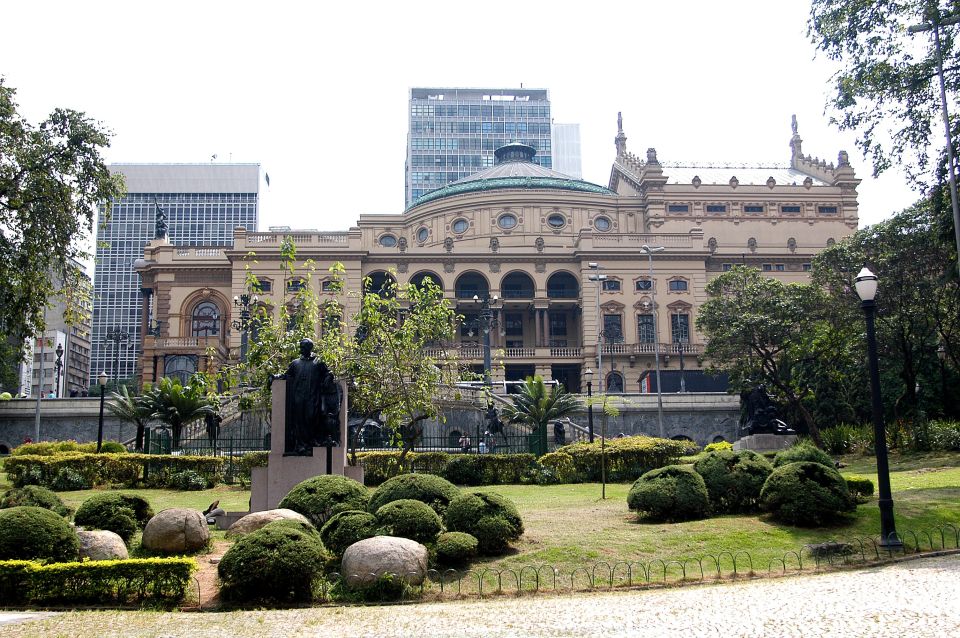 Welcome to São Paulo: Private Walking Tour With a Local - Customer Testimonials