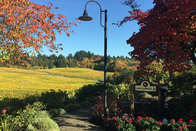 Willamette Valley Character Winery Tour - Wine Tasting Experiences