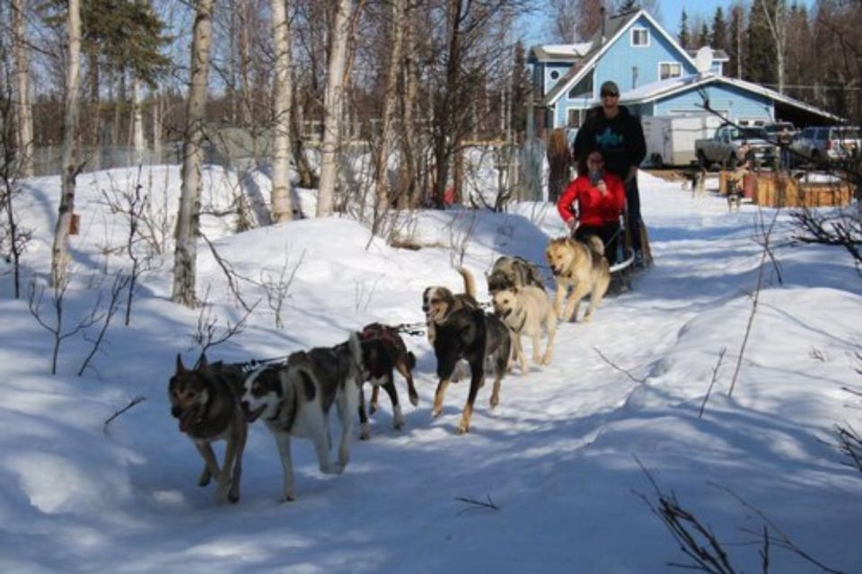 Willow: Traditional Alaskan Dog Sledding Ride - Review Summary