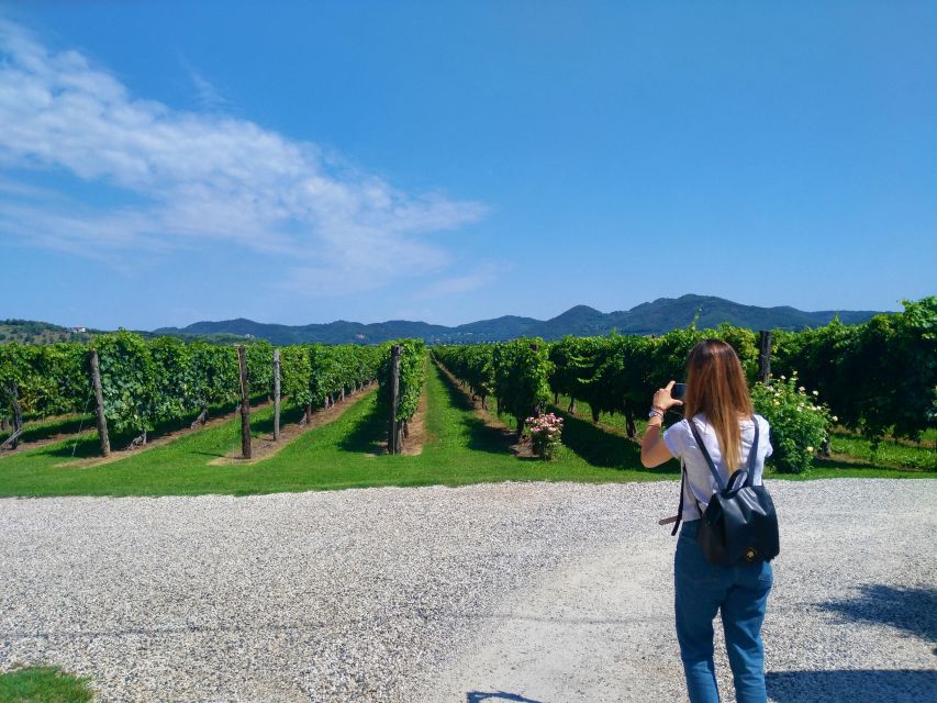 Wine Tour in the Euganean Hills From Abano Montegrotto - Inclusions and Accompaniment