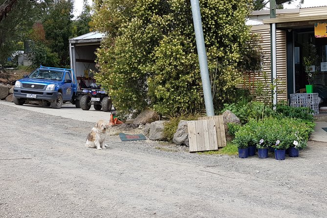 Yarra Valley Wineries and Rayners Orchard Tour From Melbourne - Inclusions and Exclusions