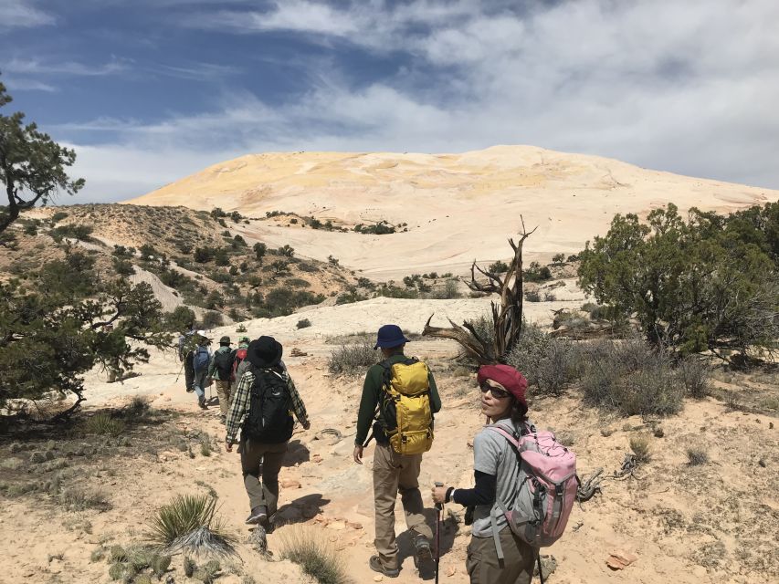 Yellow Rock, Utah: Advanced Hiking Tour - Natural Beauty