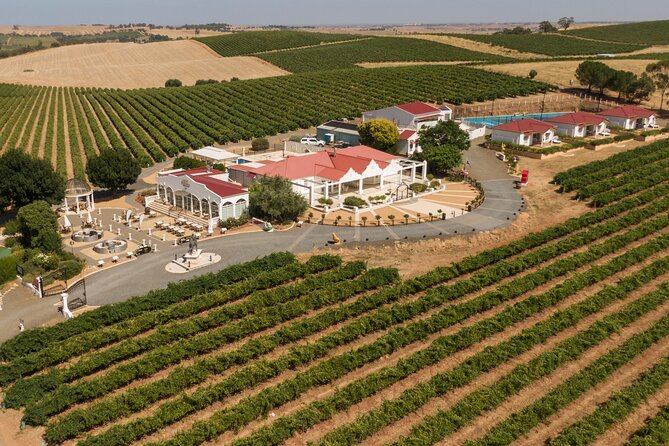 5-Hour Wine Tasting and Helicopter Ride Experience in Barossa - Key Points