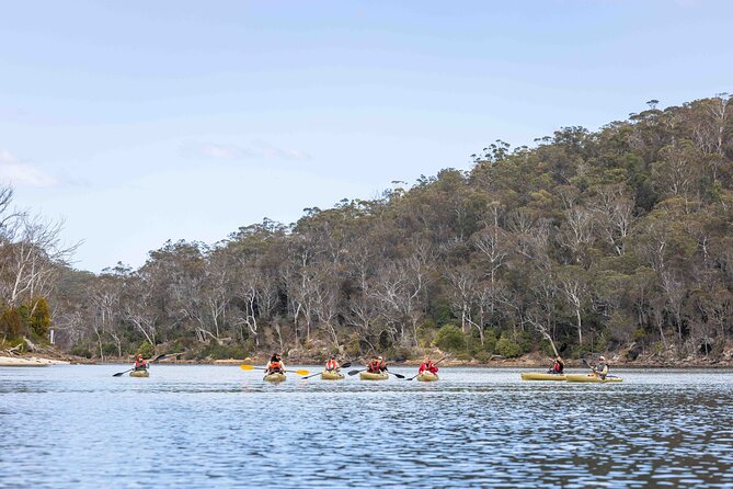 3 Hour Aboriginal Culture Tour With Kayaking in Coraki Drive - Sum Up