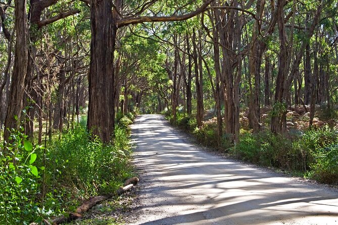 4-Day Yoga Retreat From Adelaide - Fleurieu Peninsula - Optional Activities