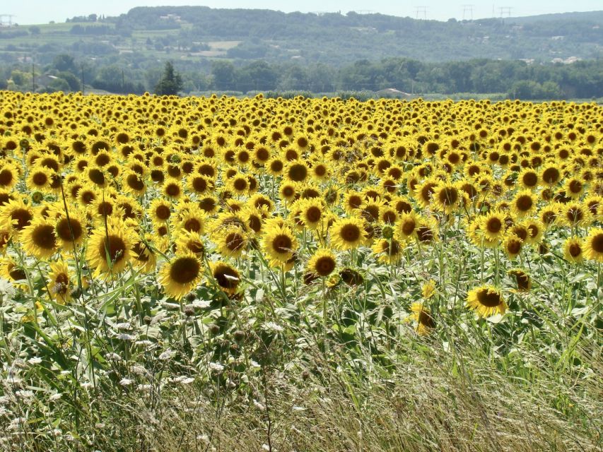 Albi, Cordés-Sur-Ciel & Gaillac: Day Trip From Toulouse - Recommendations and Tips