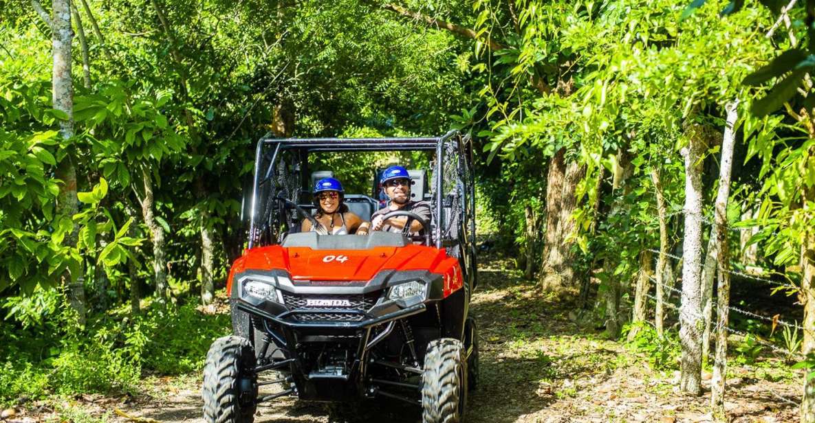 Bayahibe/La Romana: 4x4 Buggy and Monkeyland Tour - Key Points