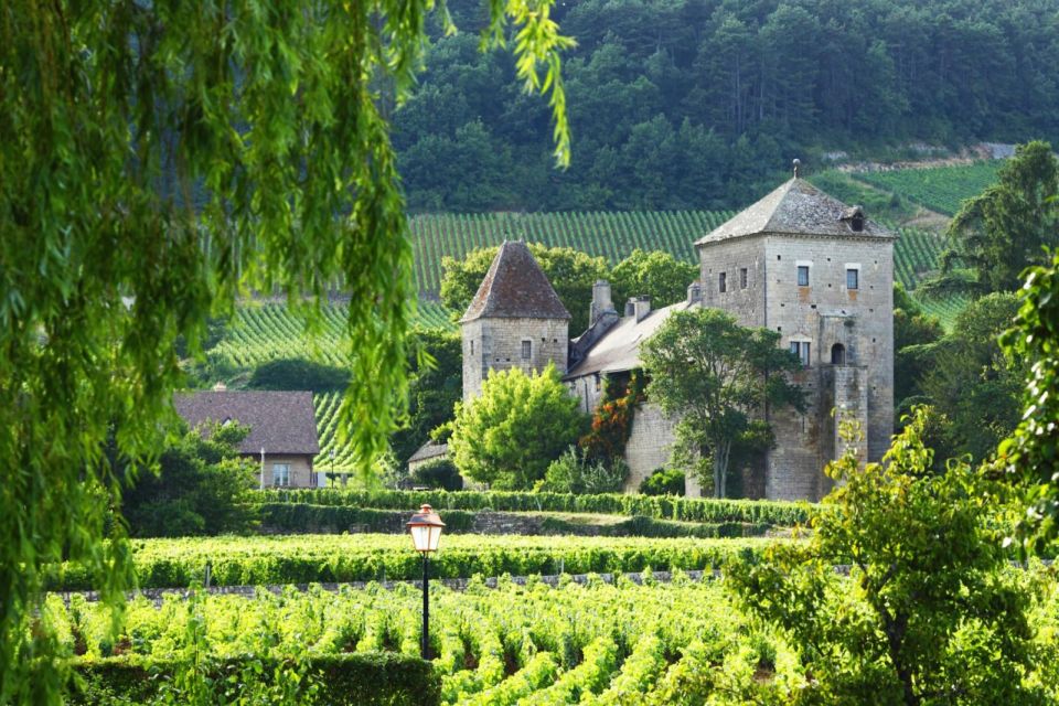 Beaune Vineyards Driving a 2CV With a Picnic - Pricing and Duration Details