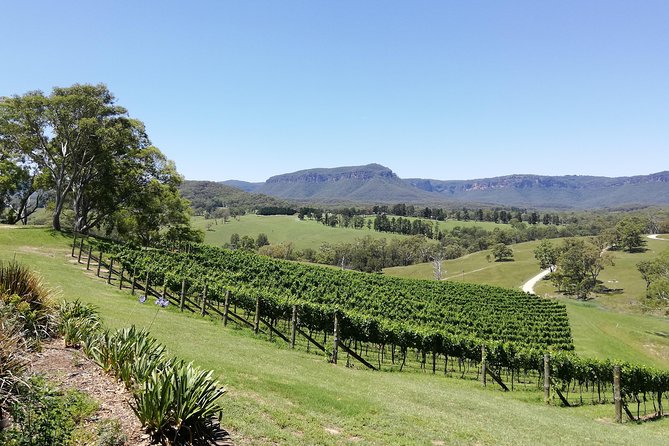 Blue Mountains Day Trip With Wines, Hikes & Lookouts - Booking Information