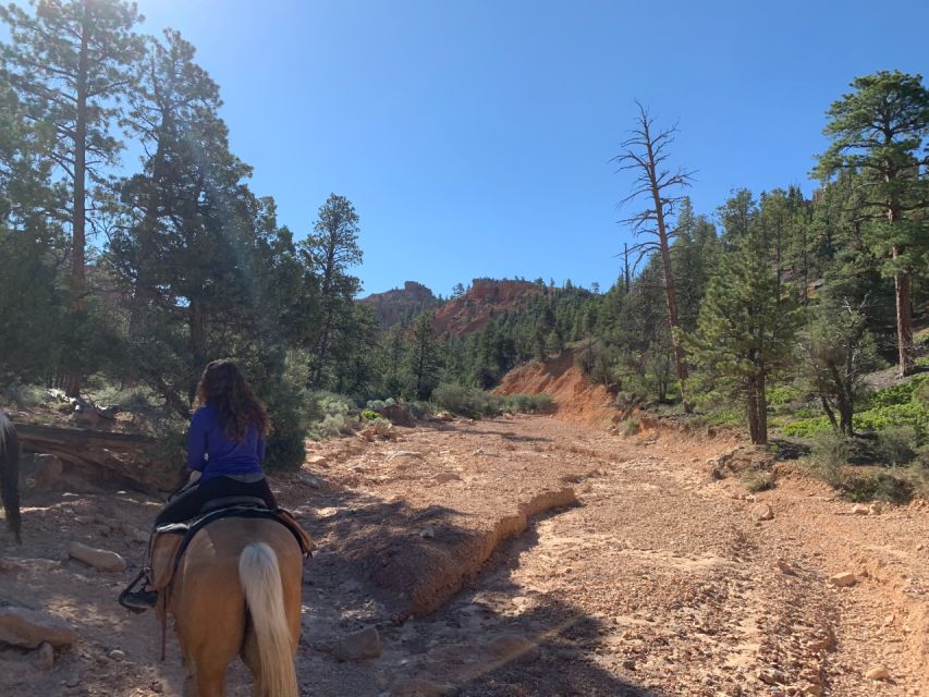 Bryce Canyon City: Red Canyon Horse Riding Day Trip W/ Lunch - Meeting Point Information