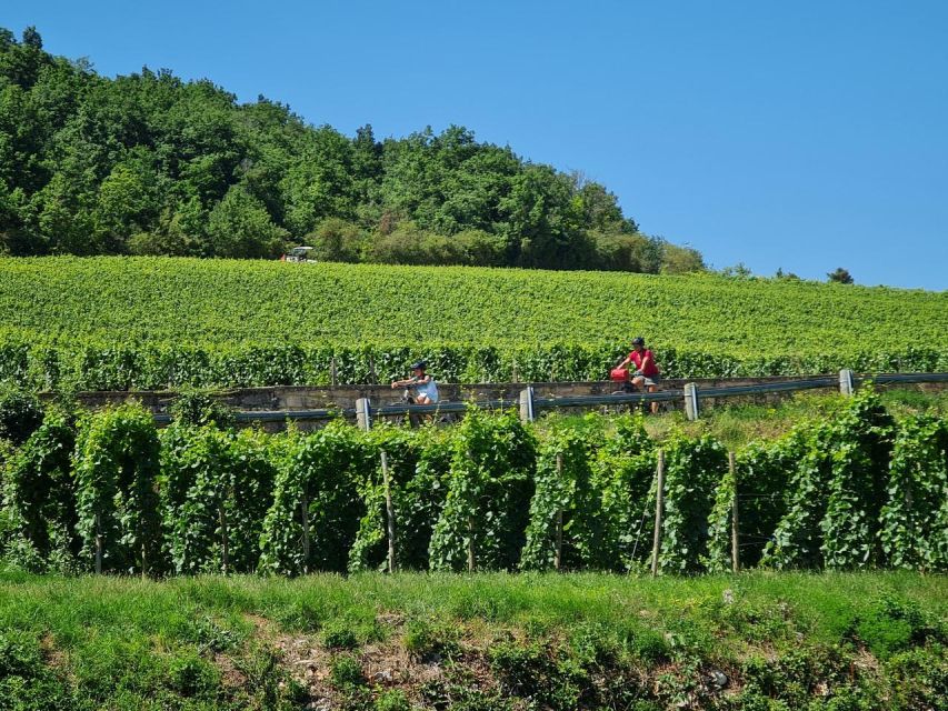 Burgundy: Fantastic 2-Day Cycling Tour With Wine Tasting - What to Bring