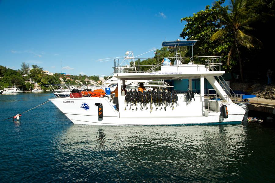 Catalina Island Scuba Diving Tour From Punta Cana - Directions