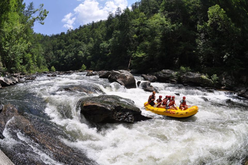 Chattooga: Chattooga River Rafting With Lunch - Sum Up
